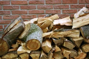 Choosing between kiln dried and seasoned firewood